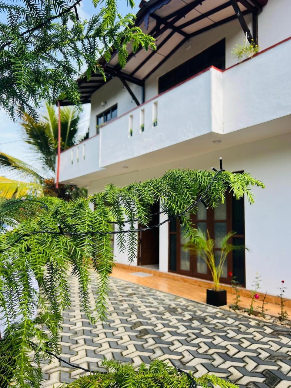 Montes Ella Exterior photo